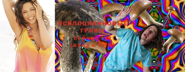 mix Алексин