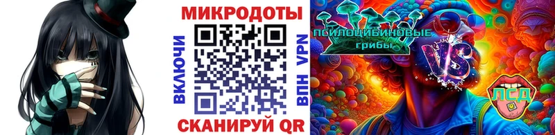 сколько стоит  Комсомольск  OMG как войти  Псилоцибиновые грибы Psilocybe 
